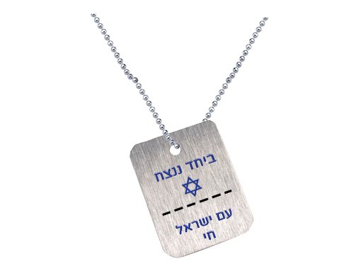 דיסקית