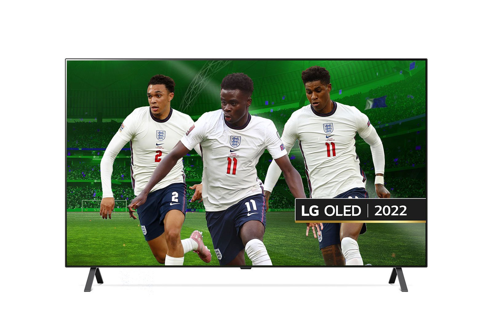 מסך Lg OLED 55A26LA  באקוסטי מני